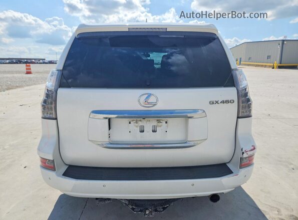 JTJBM7FX0K5216377 2019 LEXUS GX White Հետևի տեսք
