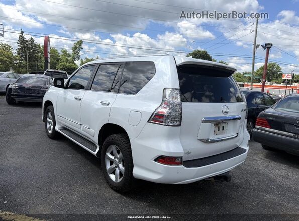JTJBM7FX4H5171663 2017 LEXUS GX 460 Turquoise 