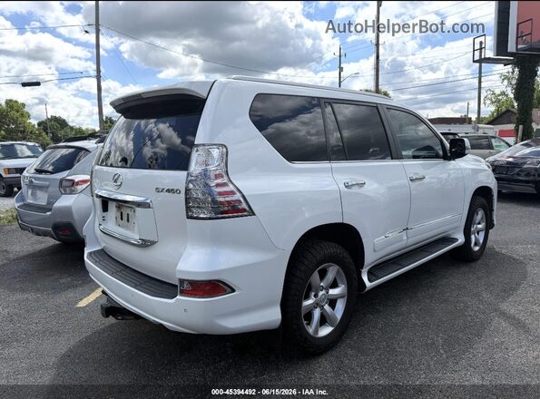 JTJBM7FX4H5171663 2017 LEXUS GX 460 Turquoise 