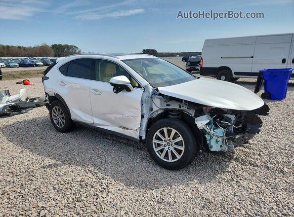 JTJDARBZ0L5009722 2020 LEXUS NX300 White წინა მარჯვენა