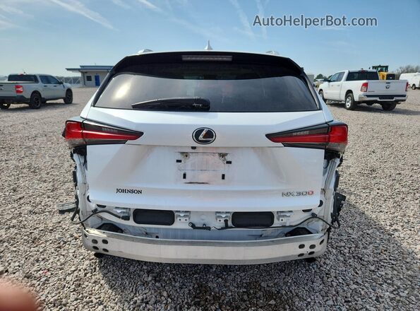 JTJDARBZ0L5009722 2020 LEXUS NX300 White უკანა ხედი