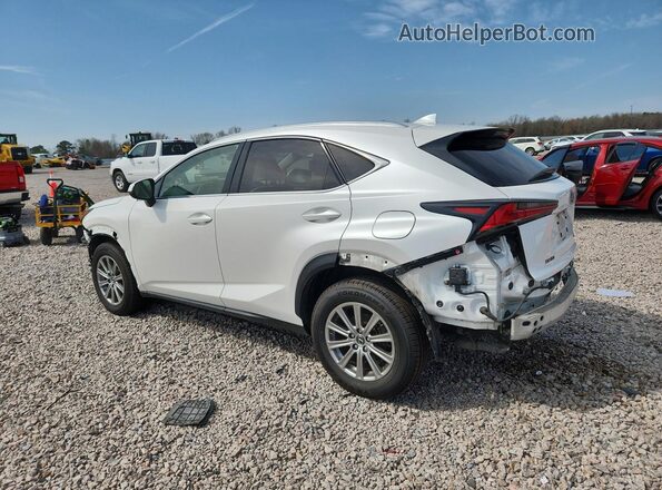 JTJDARBZ0L5009722 2020 LEXUS NX300 White უკანა მარცხენა