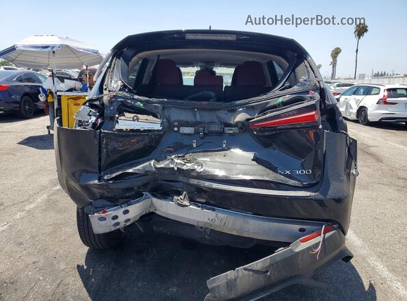JTJDARBZ0M2199010 2021 LEXUS NX Black Вид ззаду