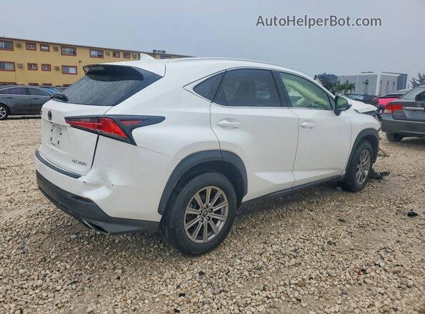 JTJDARBZ0M5029356 2021 LEXUS NX White Հետևի աջ