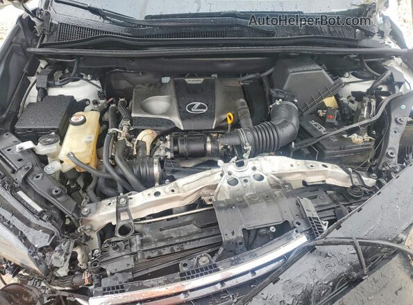 JTJDARBZ0M5029356 2021 LEXUS NX White Սալոնի հետևի տեսք