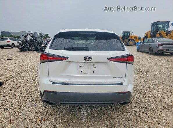 JTJDARBZ0M5029356 2021 LEXUS NX White Հետևի տեսք