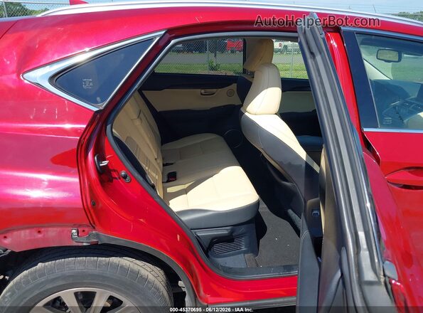 JTJDARBZ1M5026806 2021 LEXUS NX 300 Red VIN կոդի պիտակի տեսք