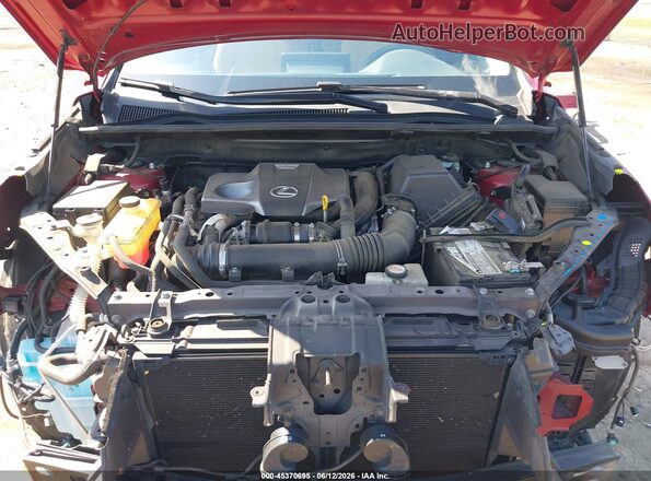 JTJDARBZ1M5026806 2021 LEXUS NX 300 Red Հետևի տեսք