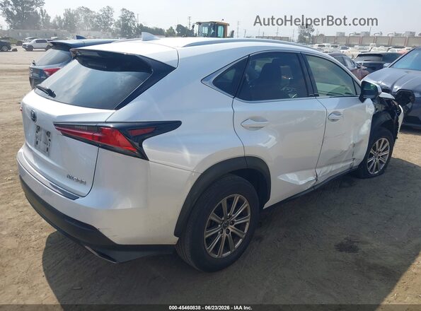 JTJDARBZ1M5035666 2021 LEXUS NX 300 White Rear right