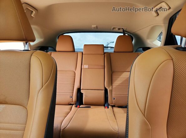 JTJDARBZ2M2193130 2021 LEXUS NX Green Հետևի նստատեղերի տեսք