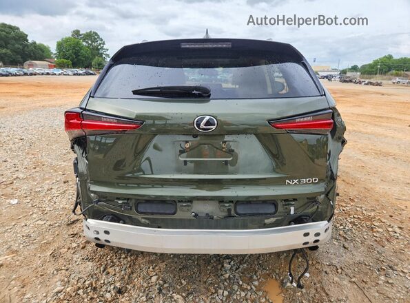 JTJDARBZ2M2193130 2021 LEXUS NX Green Հետևի տեսք