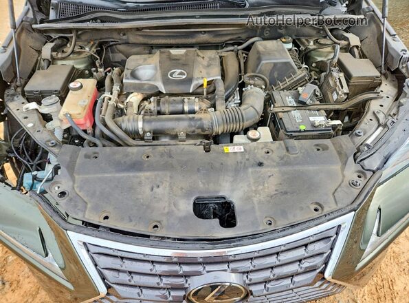 JTJDARBZ2M2193130 2021 LEXUS NX Green Շարժիչի բաժամունքի տեսք