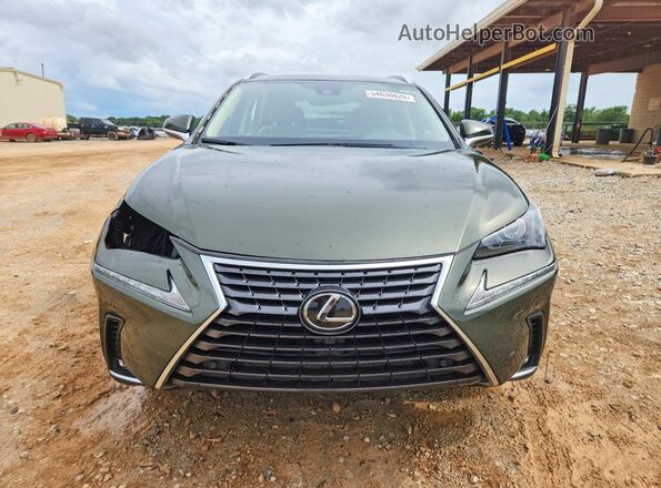 JTJDARBZ2M2193130 2021 LEXUS NX Green Դիմացի տեսք