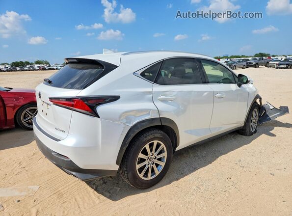JTJDARBZ2M5030766 2021 LEXUS NX White 