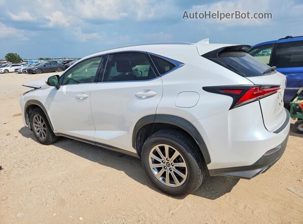 JTJDARBZ2M5030766 2021 LEXUS NX White 