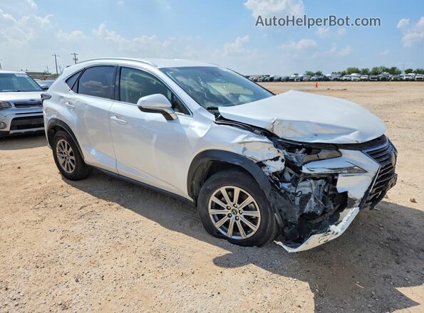 JTJDARBZ2M5030766 2021 LEXUS NX White 