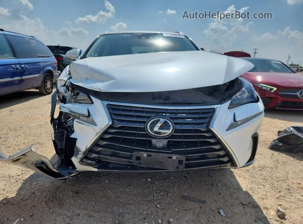 JTJDARBZ2M5030766 2021 LEXUS NX White 