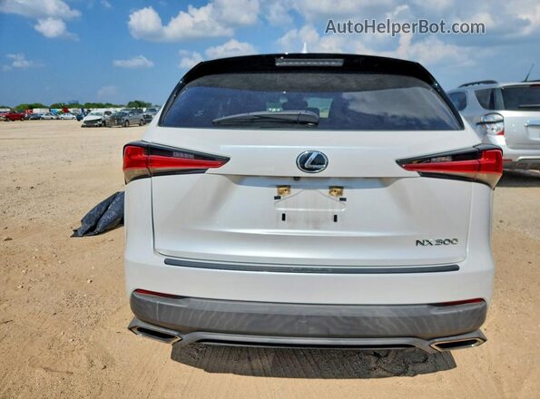 JTJDARBZ2M5030766 2021 LEXUS NX White 