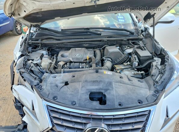 JTJDARBZ2M5030766 2021 LEXUS NX White 