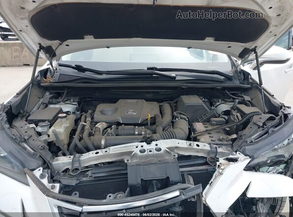 JTJDARBZ3M5035460 2021 LEXUS NX 300 White Հետևի տեսք