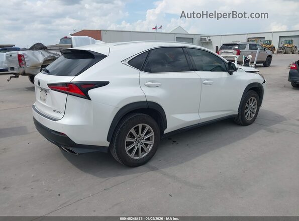 JTJDARBZ3M5035460 2021 LEXUS NX 300 White Հետևի աջ