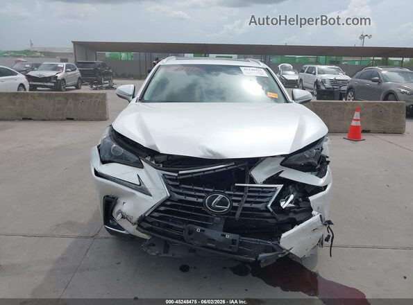 JTJDARBZ3M5035460 2021 LEXUS NX 300 White Դիմացի տեսք
