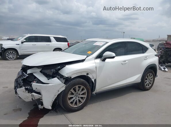 JTJDARBZ3M5035460 2021 LEXUS NX 300 White 