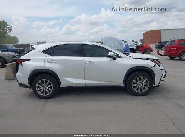 JTJDARBZ3M5035460 2021 LEXUS NX 300 White Սալոնի հետևի տեսք