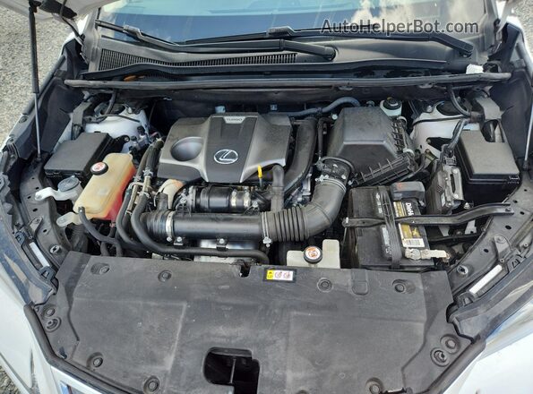 JTJDARBZ6M5021388 2021 LEXUS NX White Engine compartment view