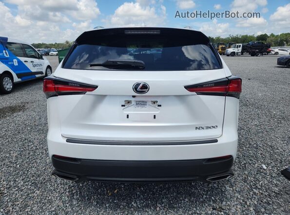 JTJDARBZ6M5021388 2021 LEXUS NX White Rear view