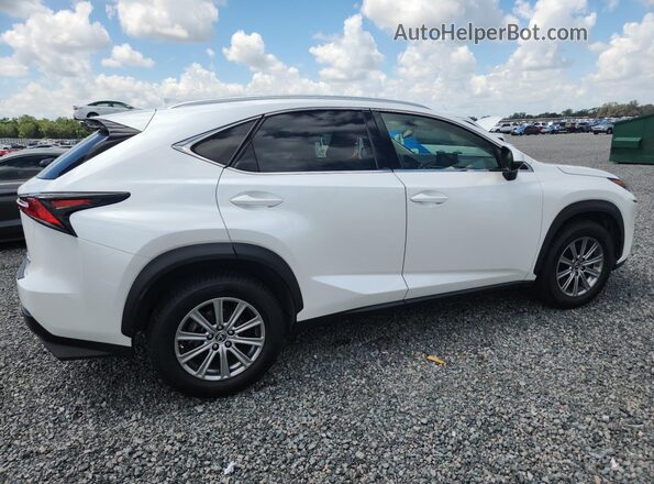 JTJDARBZ6M5021388 2021 LEXUS NX White Rear right