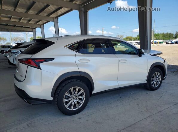 JTJDARBZ6M5031662 2021 LEXUS NX White Հետևի աջ