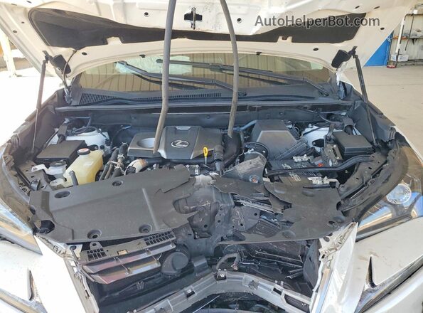 JTJDARBZ6M5031662 2021 LEXUS NX White Շարժիչի բաժամունքի տեսք