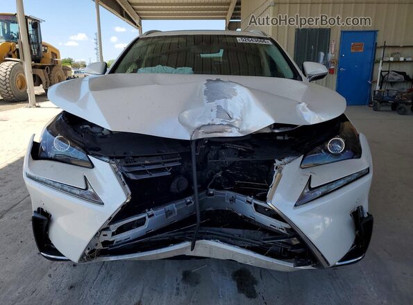JTJDARBZ6M5031662 2021 LEXUS NX White Դիմացի տեսք