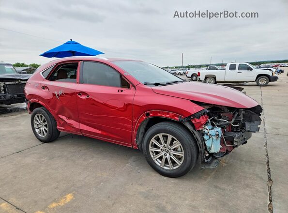JTJDARBZ7M5020704 2021 LEXUS NX Red 