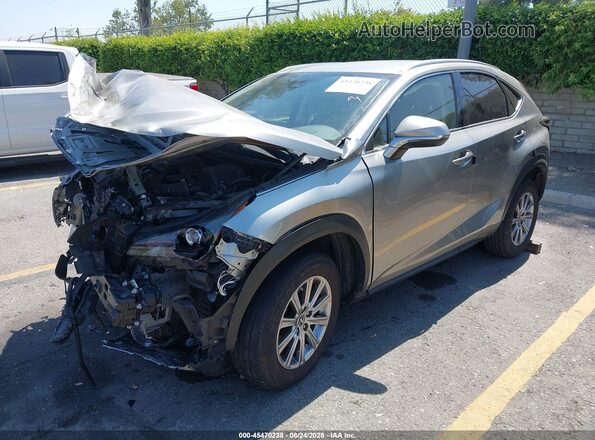 JTJDARBZ8M2191303 2021 LEXUS NX 300 Gray Передня ліва чверть