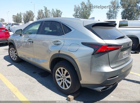 JTJDARBZ8M2191303 2021 LEXUS NX 300 Gray Задня ліва чверть