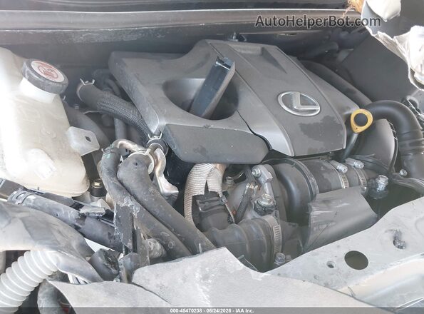 JTJDARBZ8M2191303 2021 LEXUS NX 300 Gray Вид ззаду