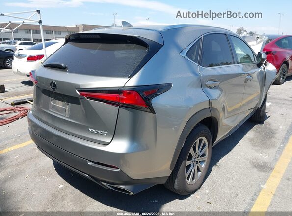 JTJDARBZ8M2191303 2021 LEXUS NX 300 Gray Задня права чверть