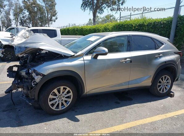 JTJDARBZ8M2191303 2021 LEXUS NX 300 Gray 