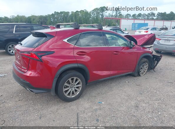 JTJDARBZ8M5032733 2021 LEXUS NX 300 Burgundy უკანა მარჯვენა