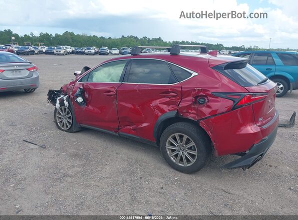 JTJDARBZ8M5032733 2021 LEXUS NX 300 Burgundy უკანა მარცხენა