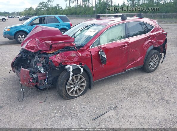 JTJDARBZ8M5032733 2021 LEXUS NX 300 Burgundy წინა მარცხენა ხედი სამი მეოთხედიდან