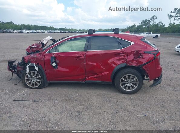 JTJDARBZ8M5032733 2021 LEXUS NX 300 Burgundy 