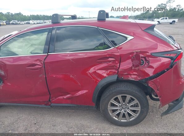 JTJDARBZ8M5032733 2021 LEXUS NX 300 Burgundy 
