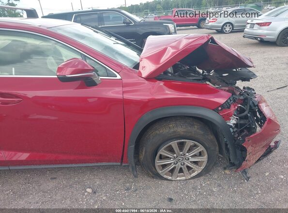 JTJDARBZ8M5032733 2021 LEXUS NX 300 Burgundy 
