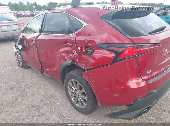 JTJDARBZ8M5032733 2021 LEXUS NX 300 Burgundy 
