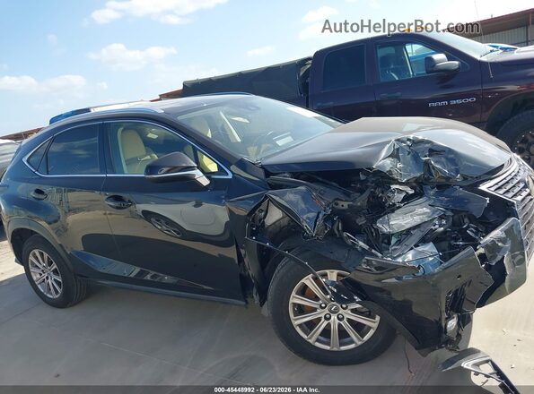 JTJDARBZ9L5007032 2020 LEXUS NX 300 Черный Вид задней части салона