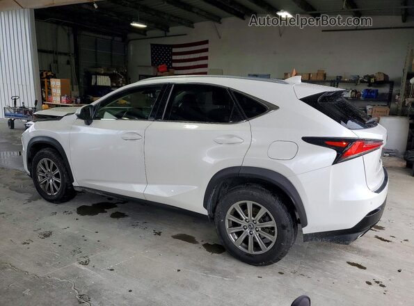 JTJDARBZ9M5021272 2021 LEXUS NX Silver უკანა მარცხენა