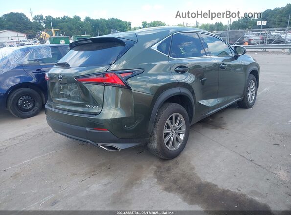 JTJDARBZXM2191416 2021 LEXUS NX 300 Green Rear right